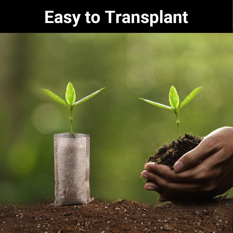 ENPOINT حقائب بدء البذور ENPOINT صغيرة، 200 قطعة 3x4 بوصة حقائب زراعة نباتات غير منسوجة، أكياس شتلات قماشية للنباتات، أكياس للشتلات لحديقة المنزل - Image 4